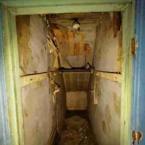 8031 conger (37).jpg